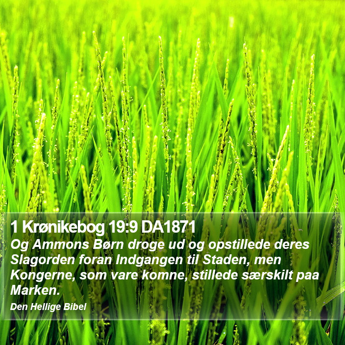 1 Krønikebog 19:9 DA1871 Bible Study