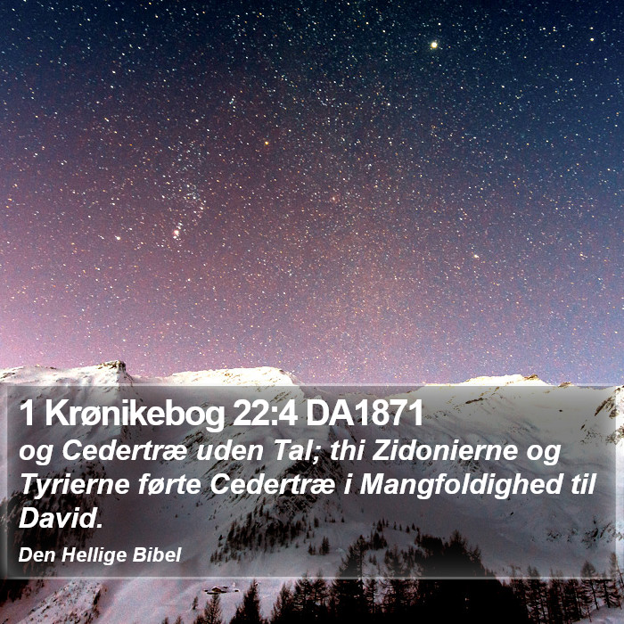1 Krønikebog 22:4 DA1871 Bible Study