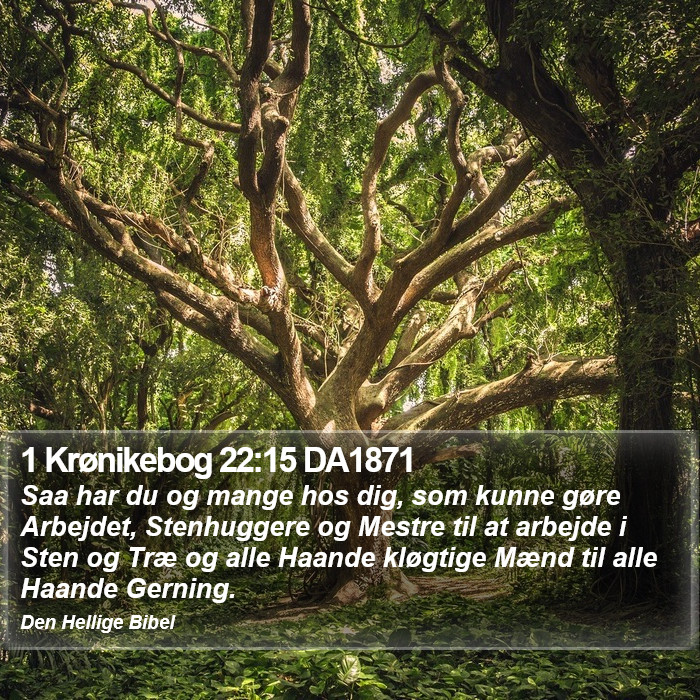 1 Krønikebog 22:15 DA1871 Bible Study