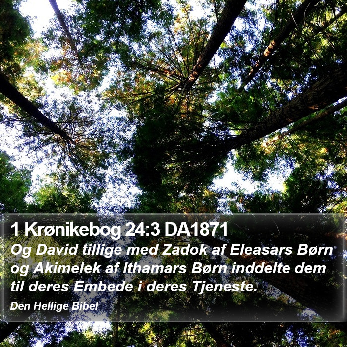 1 Krønikebog 24:3 DA1871 Bible Study