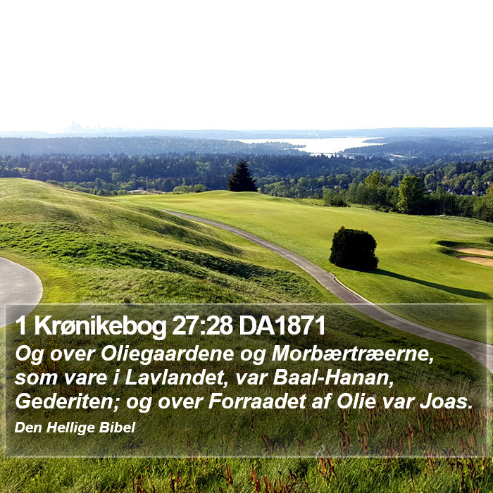 1 Krønikebog 27:28 DA1871 Bible Study