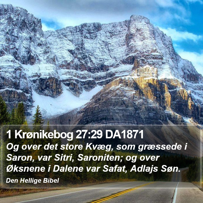 1 Krønikebog 27:29 DA1871 Bible Study