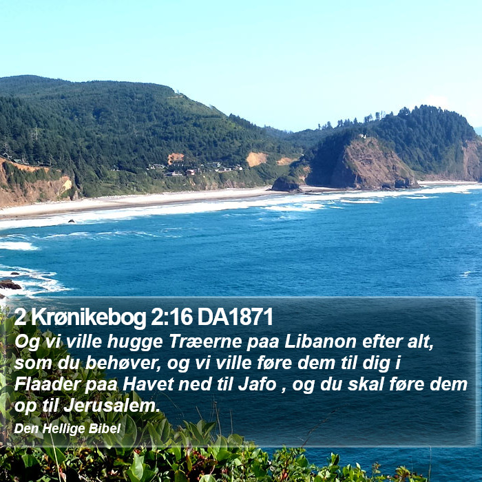 2 Krønikebog 2:16 DA1871 Bible Study