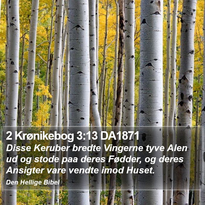 2 Krønikebog 3:13 DA1871 Bible Study