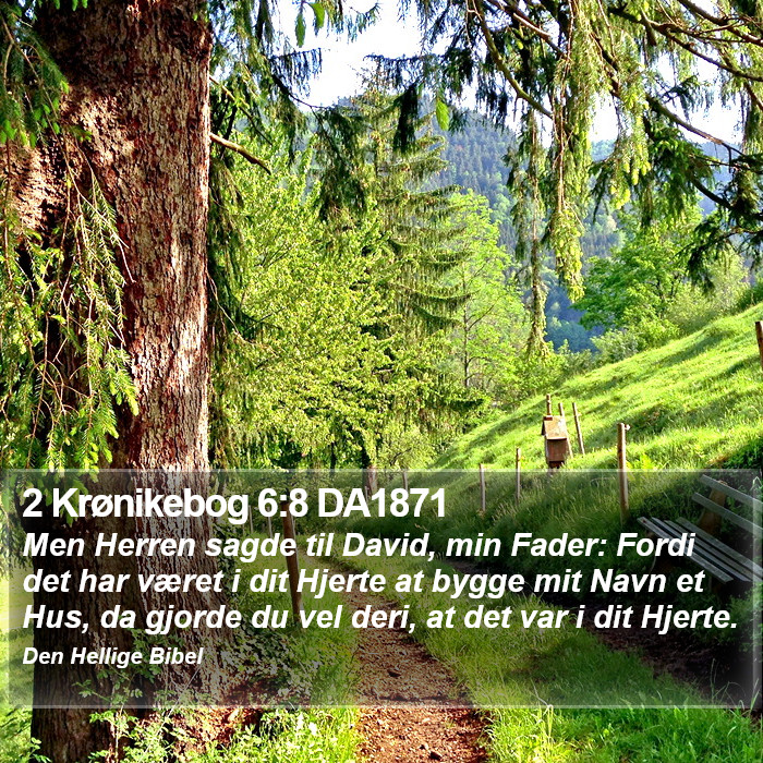 2 Krønikebog 6:8 DA1871 Bible Study