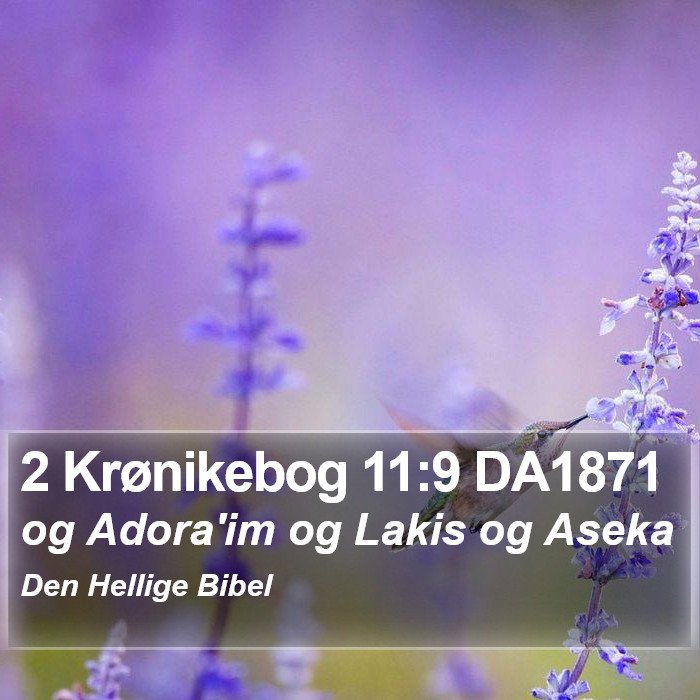 2 Krønikebog 11:9 DA1871 Bible Study