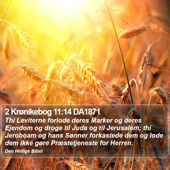 2 Krønikebog 11:14 DA1871 Bible Study