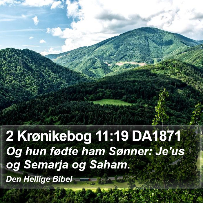 2 Krønikebog 11:19 DA1871 Bible Study