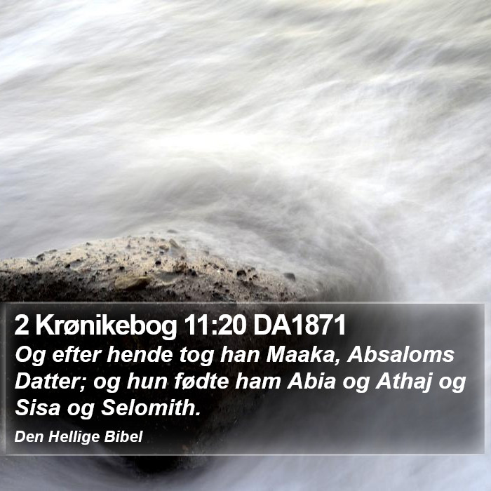 2 Krønikebog 11:20 DA1871 Bible Study