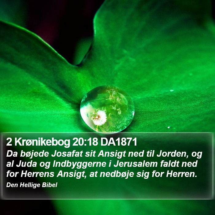 2 Krønikebog 20:18 DA1871 Bible Study