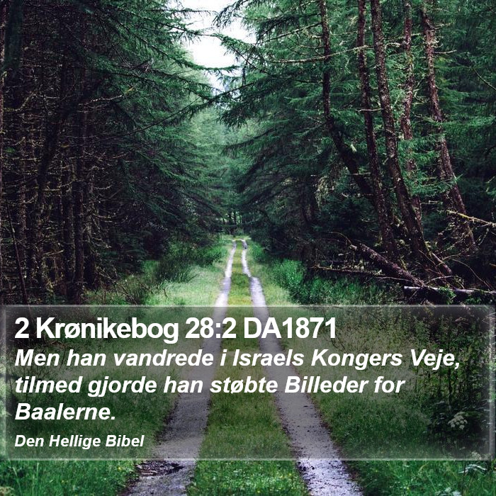 2 Krønikebog 28:2 DA1871 Bible Study