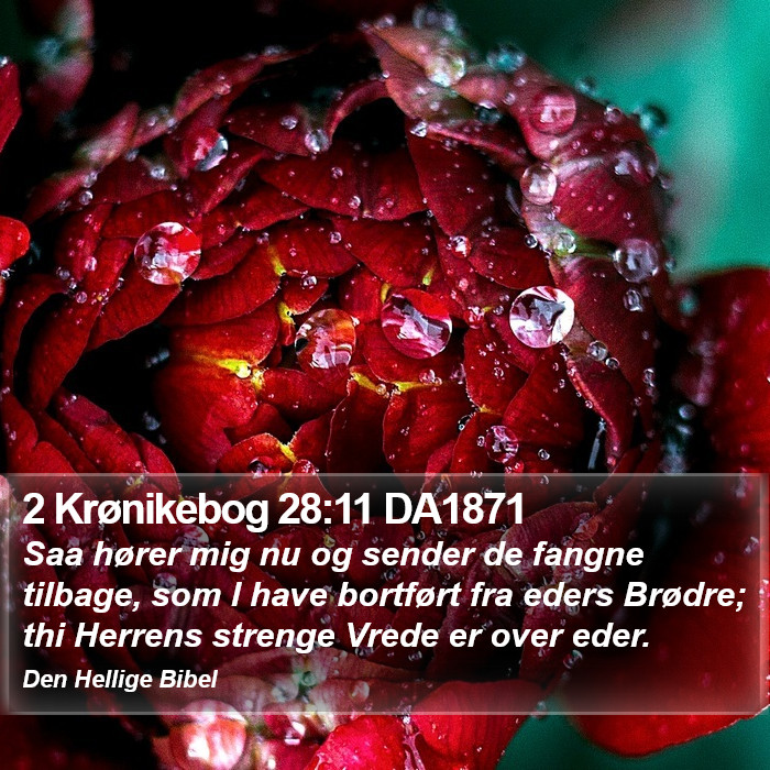 2 Krønikebog 28:11 DA1871 Bible Study