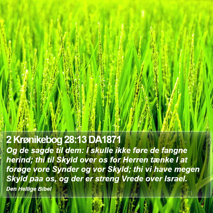 2 Krønikebog 28:13 DA1871 Bible Study