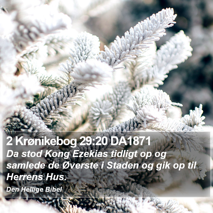 2 Krønikebog 29:20 DA1871 Bible Study