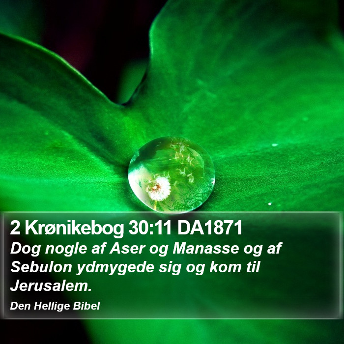 2 Krønikebog 30:11 DA1871 Bible Study