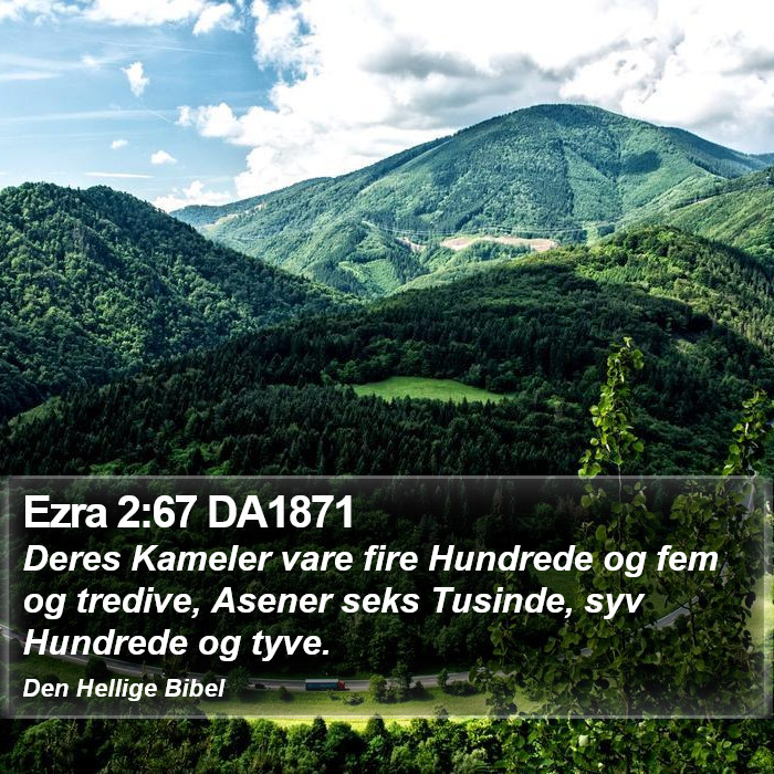 Ezra 2:67 DA1871 Bible Study