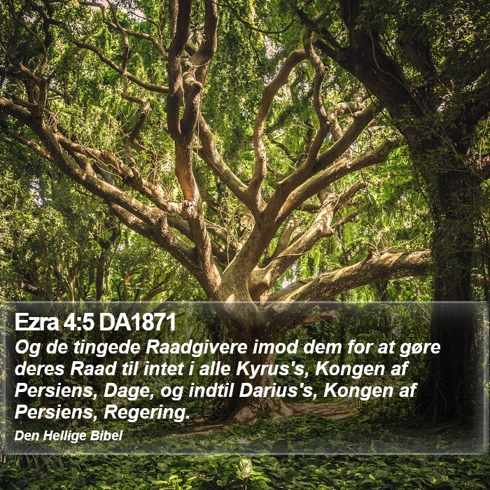 Ezra 4:5 DA1871 Bible Study