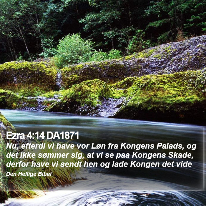 Ezra 4:14 DA1871 Bible Study