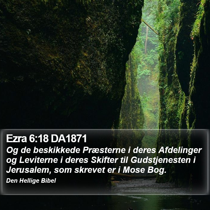 Ezra 6:18 DA1871 Bible Study