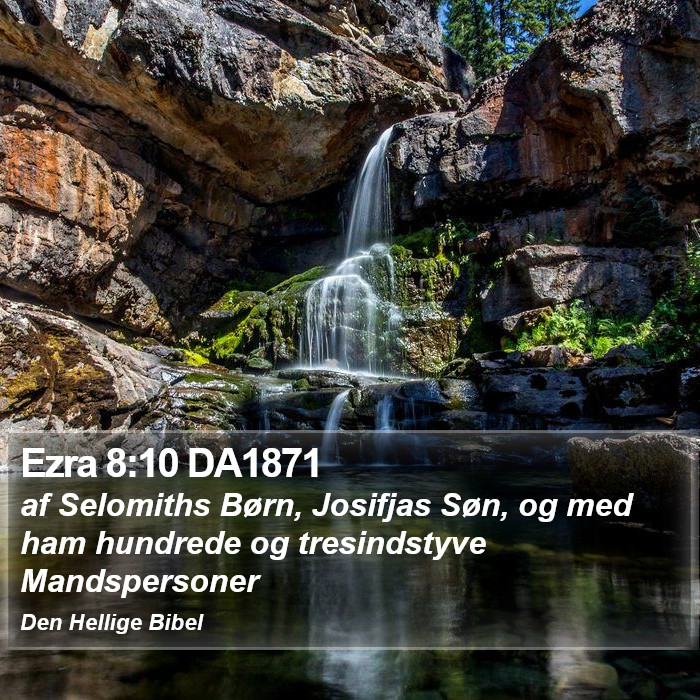 Ezra 8:10 DA1871 Bible Study