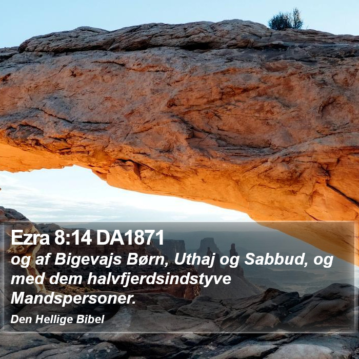 Ezra 8:14 DA1871 Bible Study