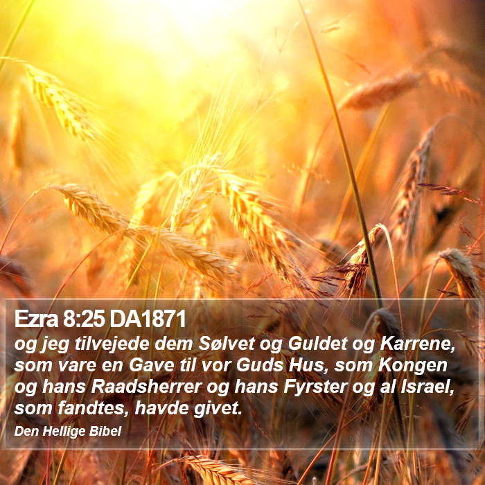 Ezra 8:25 DA1871 Bible Study