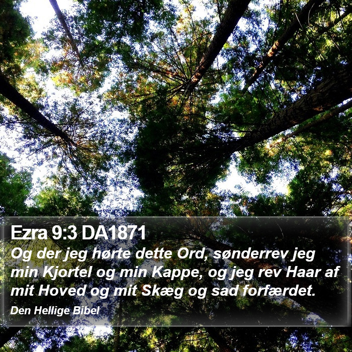 Ezra 9:3 DA1871 Bible Study