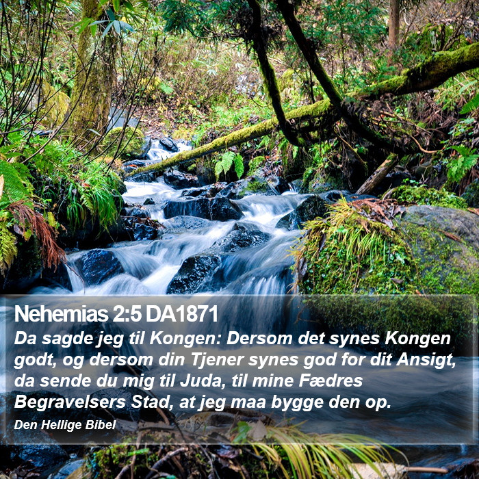 Nehemias 2:5 DA1871 Bible Study