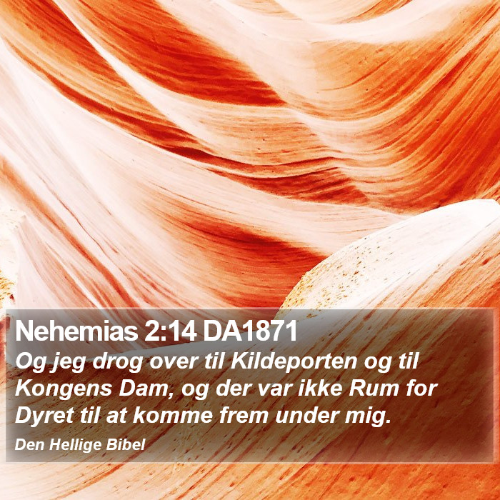 Nehemias 2:14 DA1871 Bible Study
