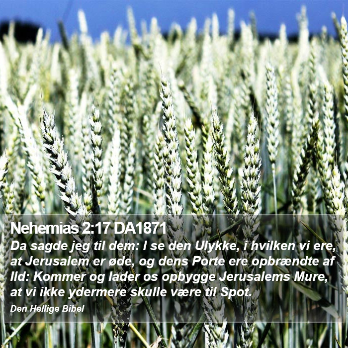 Nehemias 2:17 DA1871 Bible Study