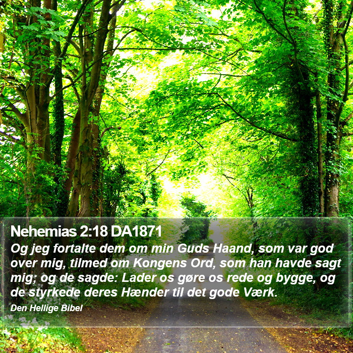 Nehemias 2:18 DA1871 Bible Study