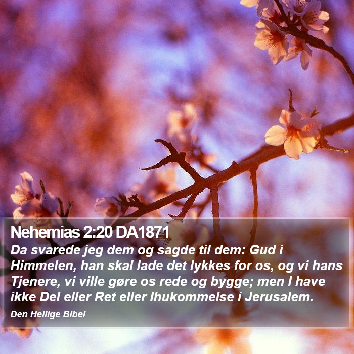 Nehemias 2:20 DA1871 Bible Study