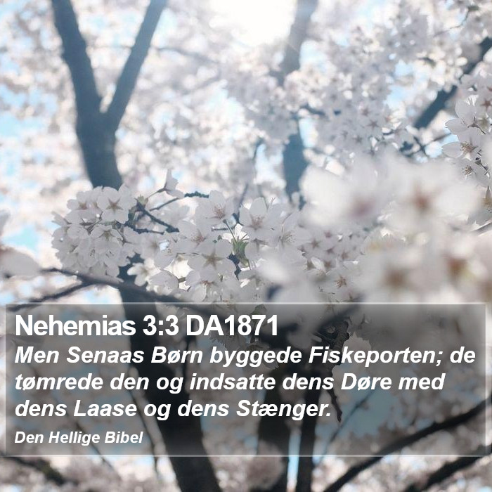 Nehemias 3:3 DA1871 Bible Study