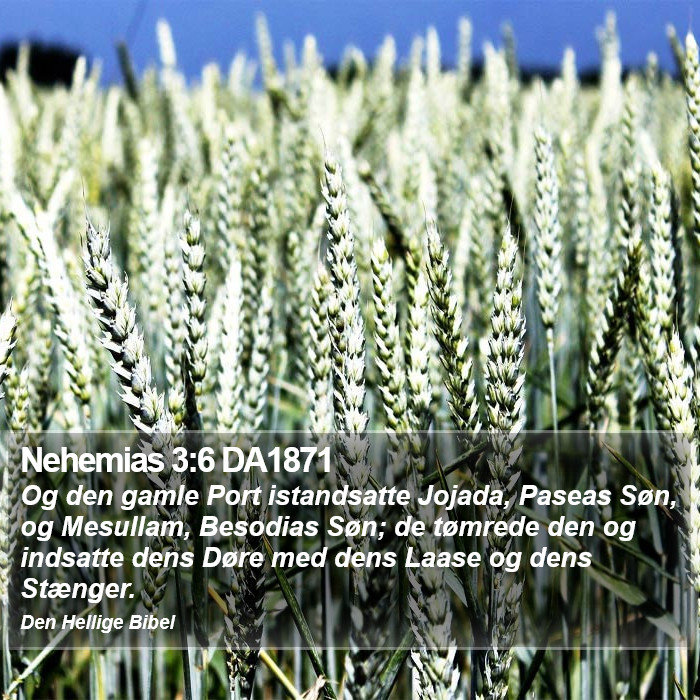 Nehemias 3:6 DA1871 Bible Study