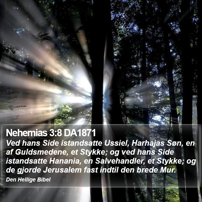 Nehemias 3:8 DA1871 Bible Study