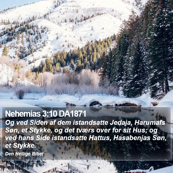 Nehemias 3:10 DA1871 Bible Study