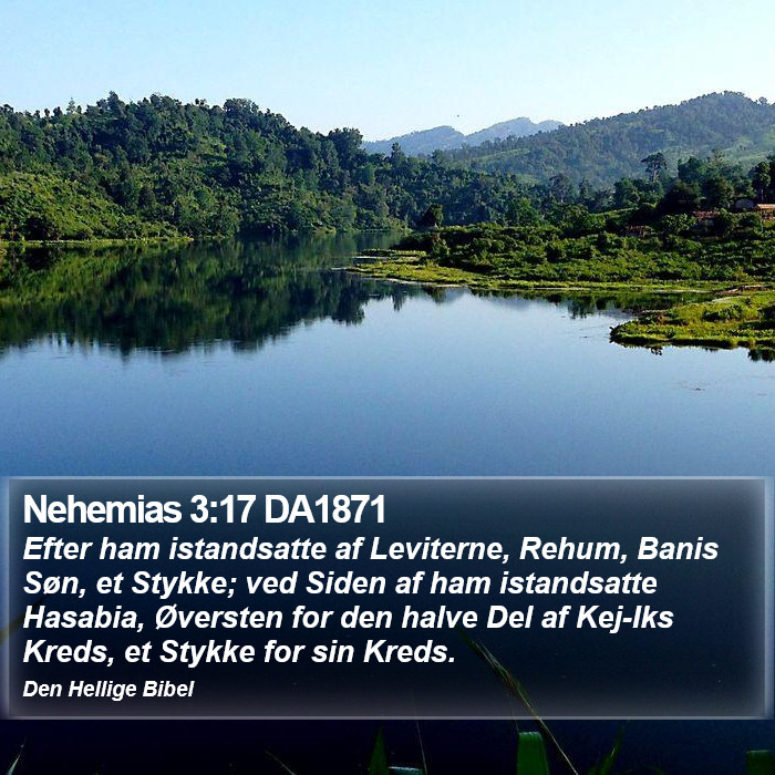 Nehemias 3:17 DA1871 Bible Study