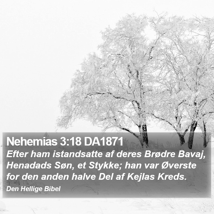 Nehemias 3:18 DA1871 Bible Study