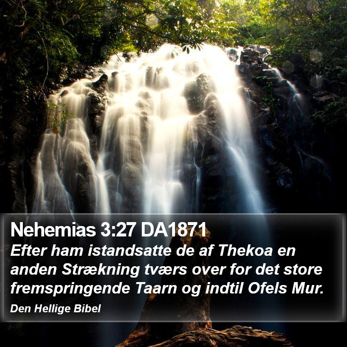Nehemias 3:27 DA1871 Bible Study