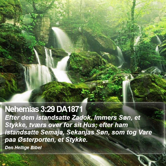Nehemias 3:29 DA1871 Bible Study
