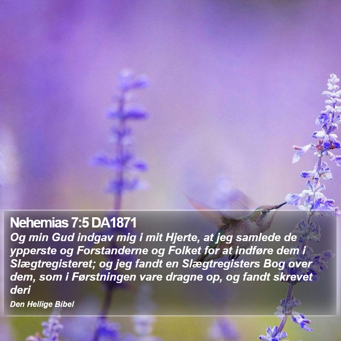 Nehemias 7:5 DA1871 Bible Study