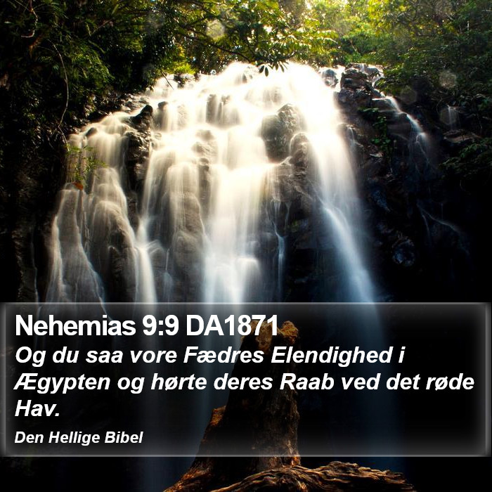 Nehemias 9:9 DA1871 Bible Study