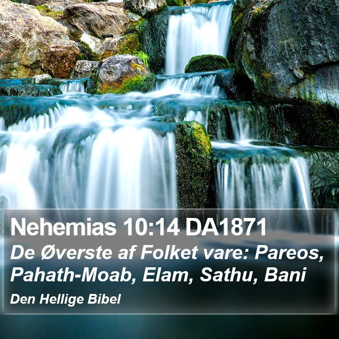 Nehemias 10:14 DA1871 Bible Study