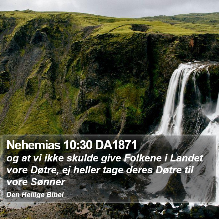 Nehemias 10:30 DA1871 Bible Study