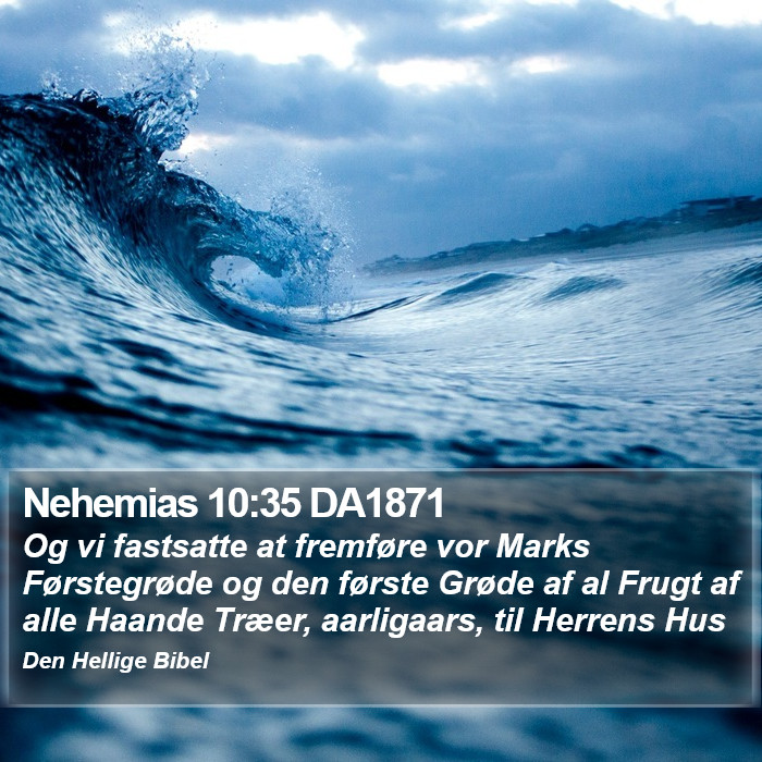 Nehemias 10:35 DA1871 Bible Study