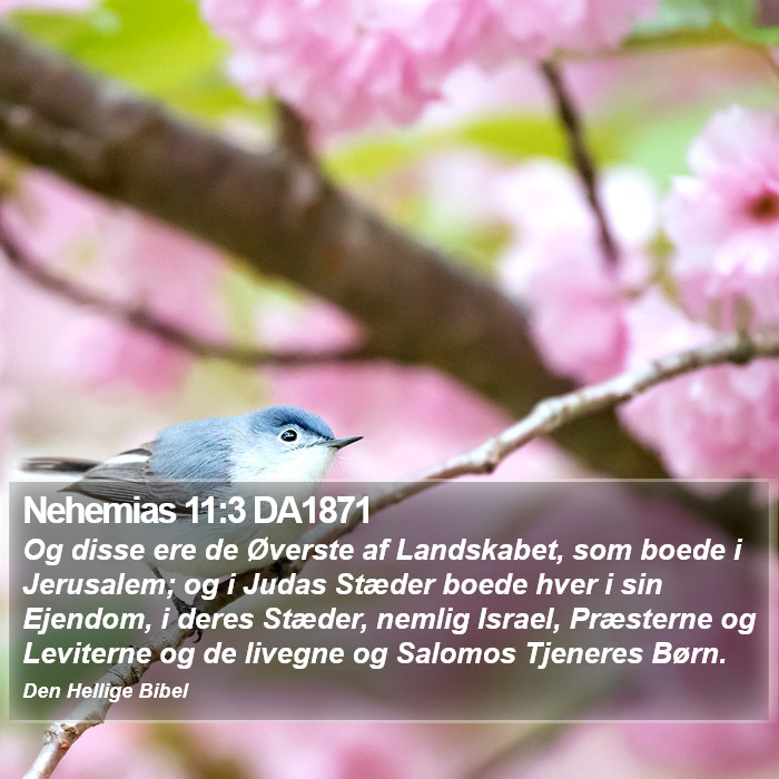 Nehemias 11:3 DA1871 Bible Study