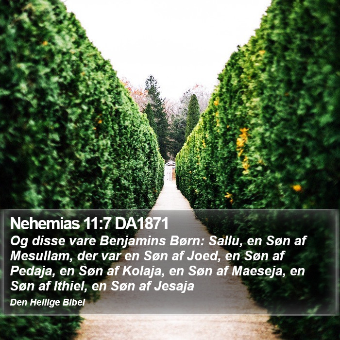 Nehemias 11:7 DA1871 Bible Study