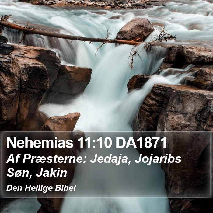 Nehemias 11:10 DA1871 Bible Study