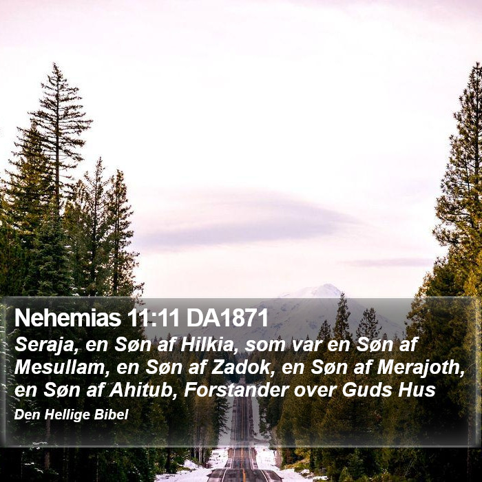 Nehemias 11:11 DA1871 Bible Study