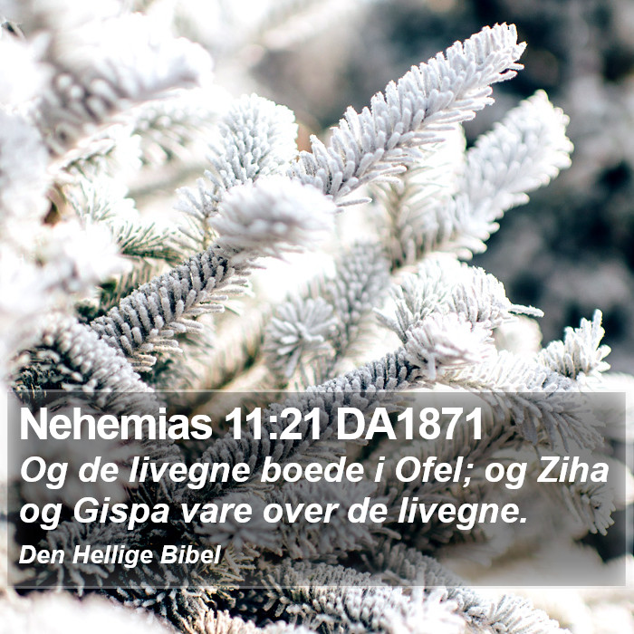 Nehemias 11:21 DA1871 Bible Study